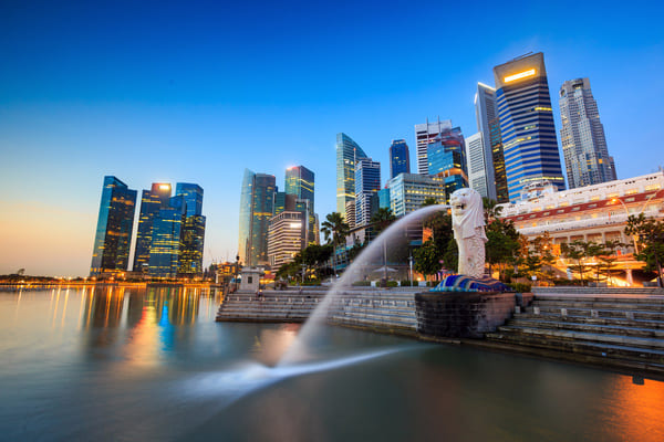 Un nuovo focolaio di Febbre Dengue a Singapore: colpa del cambiamento climatico?