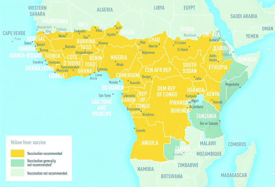 rischio febbre gialla in africa