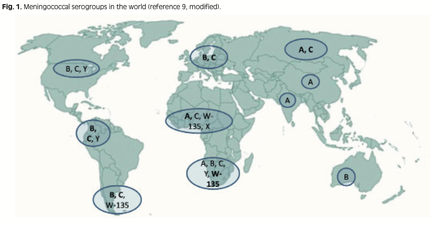 distribuzione della meningite nel mondo