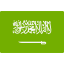 Bandiera Saudi Arabia